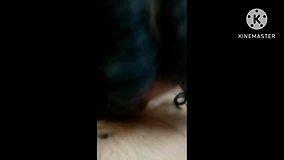 Sexy girlfriend boyfriend hardcore sex Desi style Indian girlfriend romantic sex