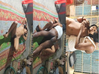 Desi Vlg Cpl Romance and Fucking