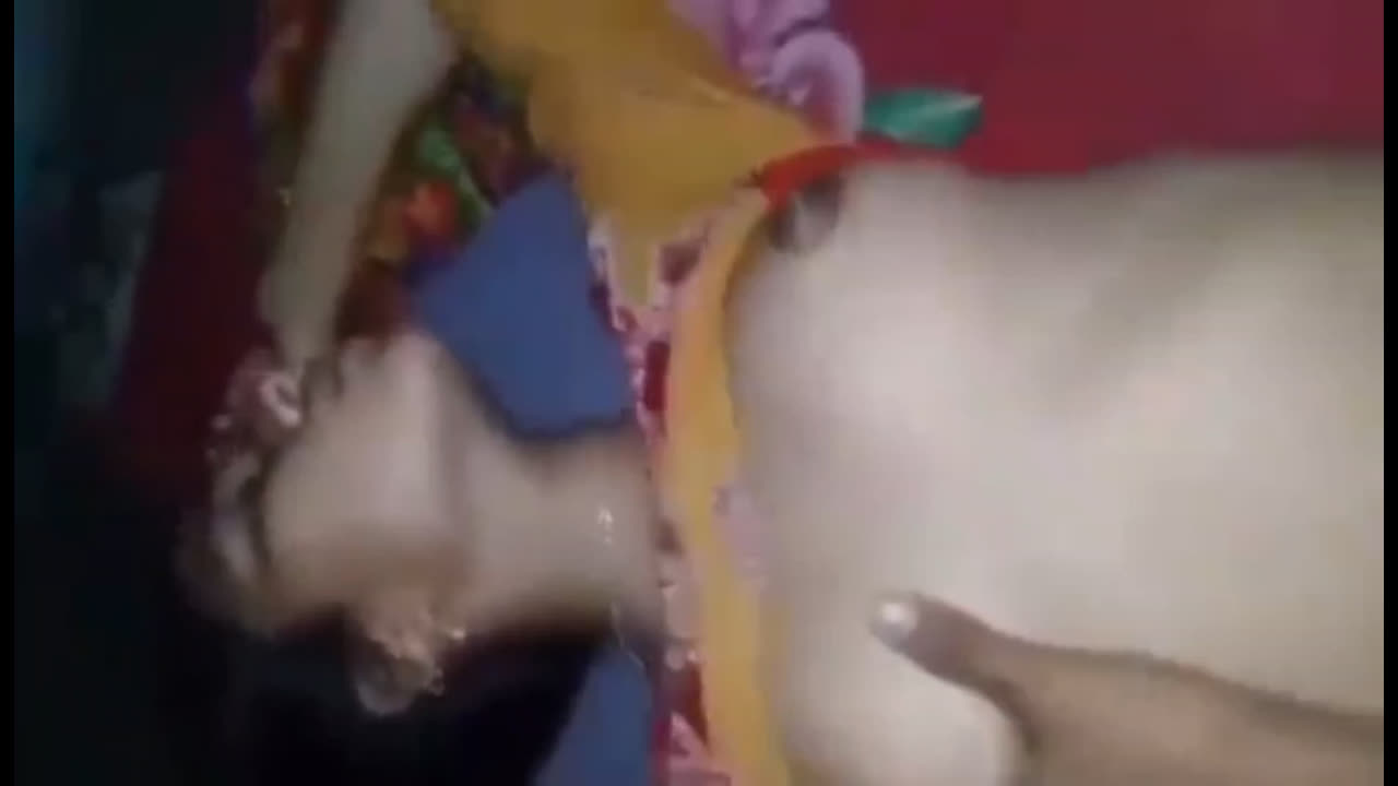 Desi village wife midnight fucking with hubby