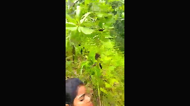 VID 20250411 WA0007